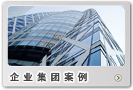 企業(yè)集團(tuán)案例