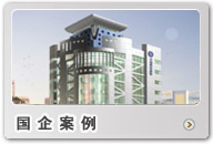 國(guó)企案例