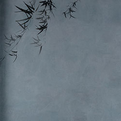 ī-ԭ(chung)Ʊڮ(hu) CG-NDC5158