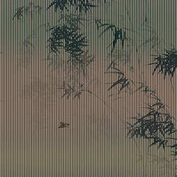 [-ԭ(chung)Ʊڮ(hu) CG-NDC5247