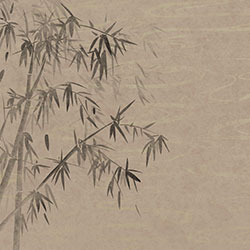 P-ԭ(chung)Ʊڮ(hu) CG-NDC5249