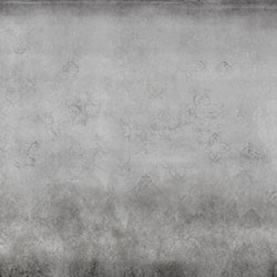 Rʿ-ԭ(chung)Ʊڮ(hu) CG-NDC5204