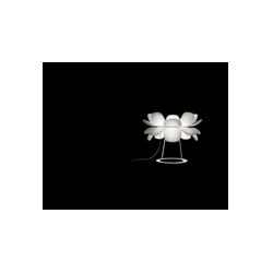 InfioreF(xin)_(ti)