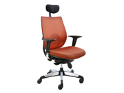 Mesh Executive Chair CG-K800R8STG