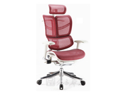 Mesh Executive Chair cg-fym01